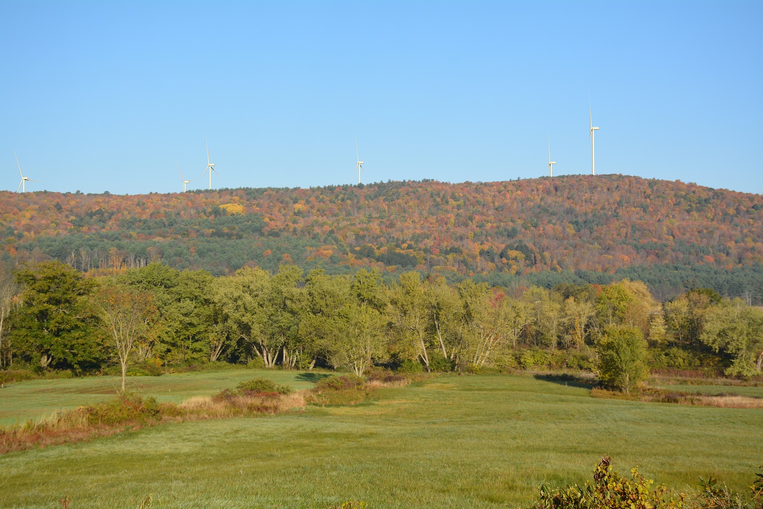 a picture of windmills in the back with hills and a field in the foreground